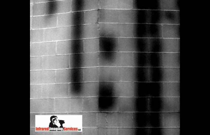 IRINFO 2010 Infrared Image contest winner Grout in CMU wall.preview 0 - Commercial Infrared Inspection