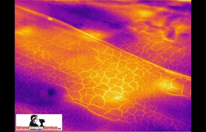 Infrared Imaging Services LLC IRINFO 2011 Image Contest Winner Roof.preview 0 - Commercial Infrared Inspection