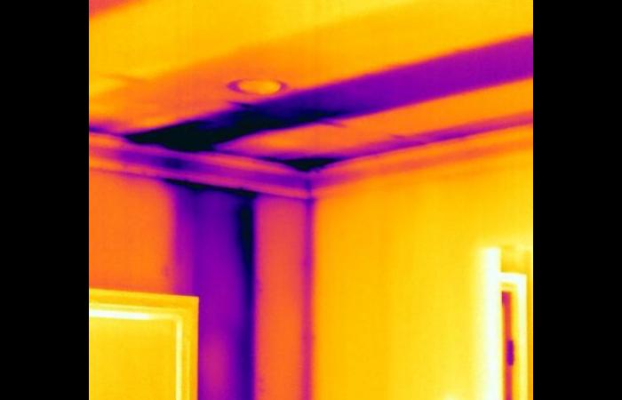 Missing insuation 3 0 - Building Infrared Inspection