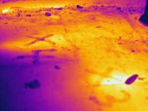 infrared radiant