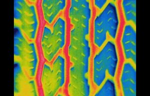 tire3a 0 300x193 - SUV tire close up. Delta T for this image was less than than 3 degrees F across the tire surface - Infrared Imaging Services LLC